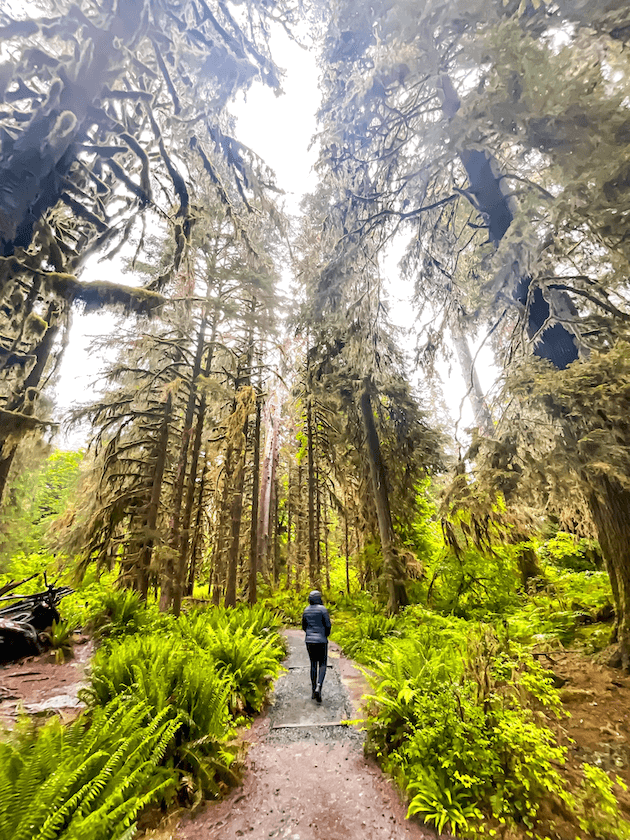 Elaina walking through the Hall of Mosses in the Hoh Rainforest - best places to visit in washingston