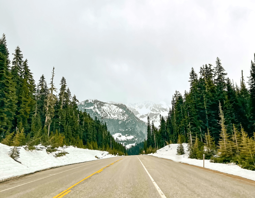 A road leading to a snow-covered mountain with trees and snow lining the side of the road in North Cascades National Park in Washington.