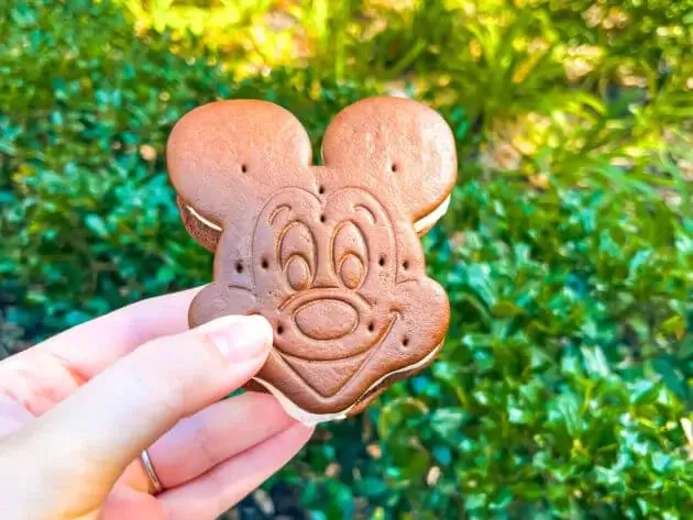 Ice cream sandwich shaped like mickey mouse's head from Disney World